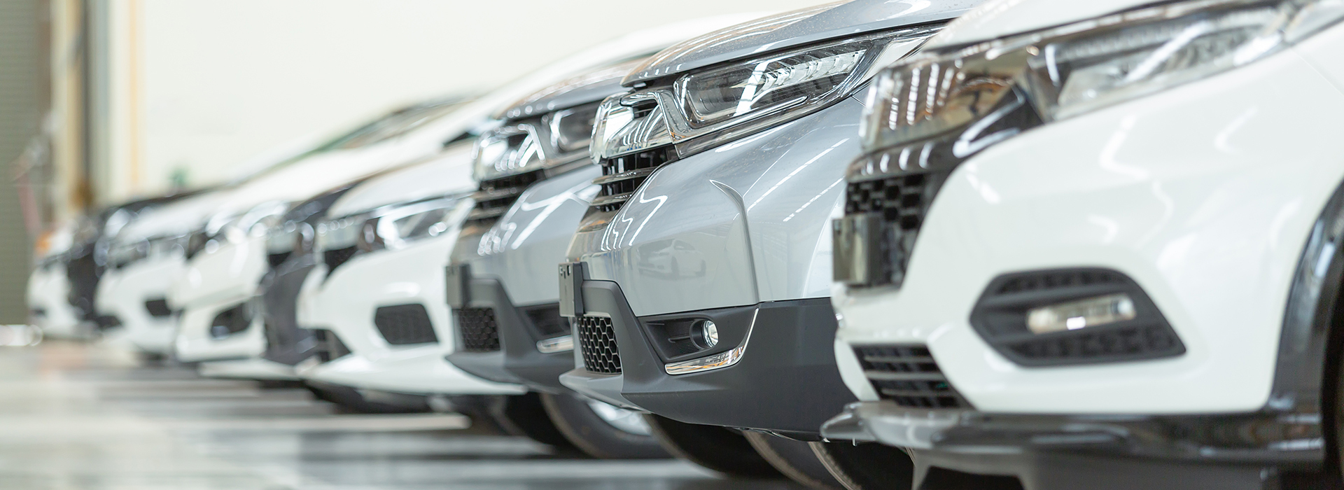 How to buy a ca from Motus Auto Auctions